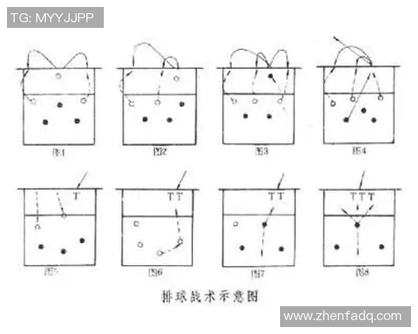 北京排球队在联赛中的速度表现分析与战术探讨 北京排球队在联赛中的速度表现分析与战术探讨