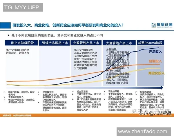 南京篮球队技术分析与战术创新的深度探讨与展望