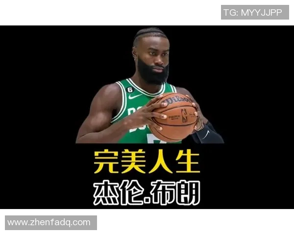 深度对话赵丽分享她的篮球人生与成长历程的精彩故事