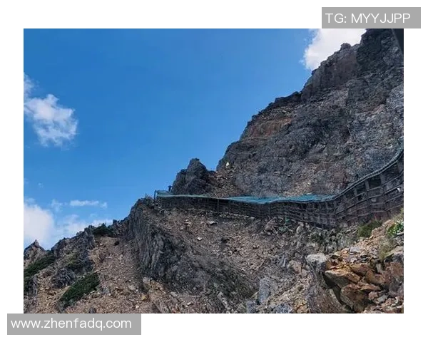 杨秀英亲述攀岩技巧与心得体会助你轻松征服高峰