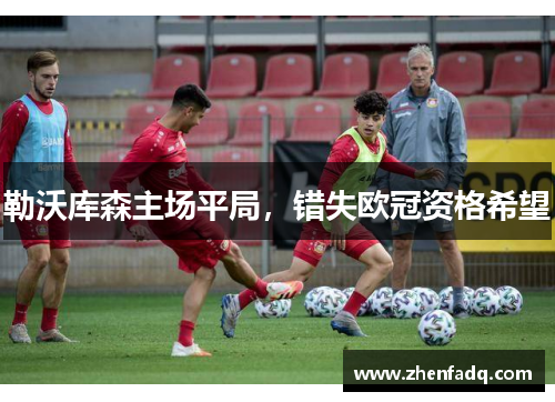 勒沃库森主场平局，错失欧冠资格希望