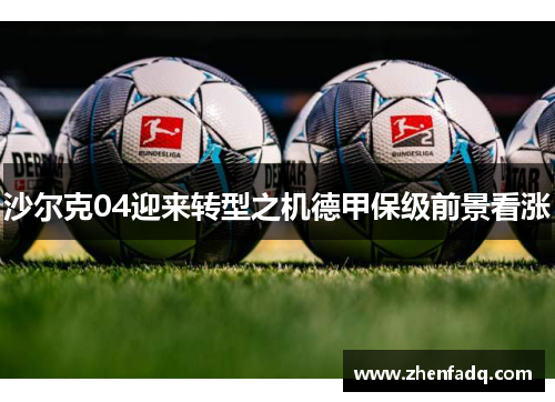 沙尔克04迎来转型之机德甲保级前景看涨