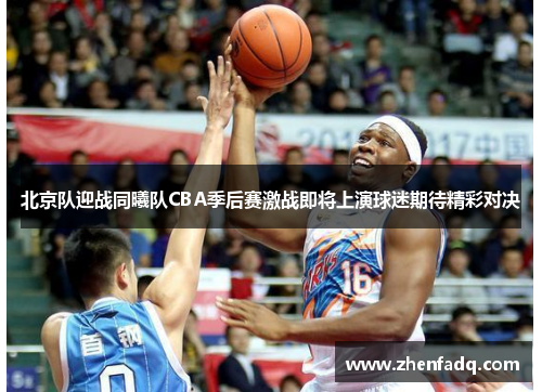 北京队迎战同曦队CBA季后赛激战即将上演球迷期待精彩对决