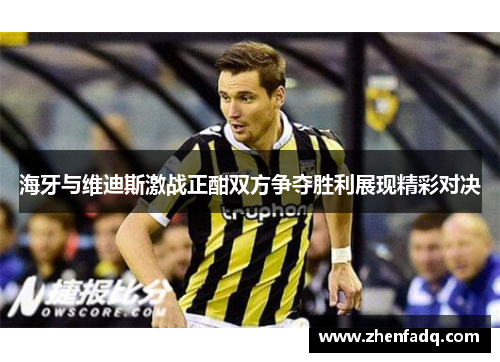 海牙与维迪斯激战正酣双方争夺胜利展现精彩对决