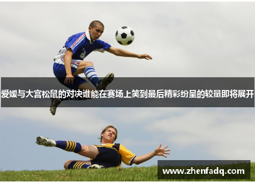 爱嫒与大宫松鼠的对决谁能在赛场上笑到最后精彩纷呈的较量即将展开