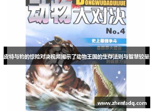 皮特与豹的惊险对决视频揭示了动物王国的生存法则与智慧较量