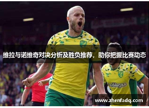 维拉与诺维奇对决分析及胜负推荐，助你把握比赛动态